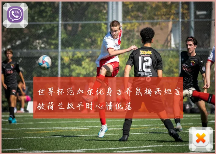 世界杯范加尔化身吉乔鼠梅西坦言被荷兰扳平时心情低落