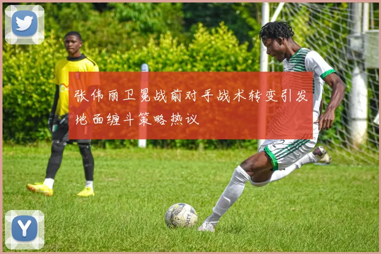 张伟丽卫冕战前对手战术转变引发地面缠斗策略热议