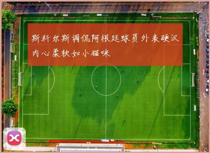 斯科尔斯调侃阿根廷球员外表硬汉内心柔软如小猫咪